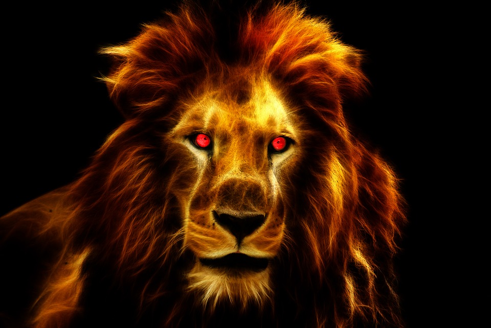 Fire lion